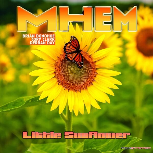 Cover art for Little Sunflower